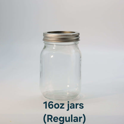 Mason Jars 16oz Regular